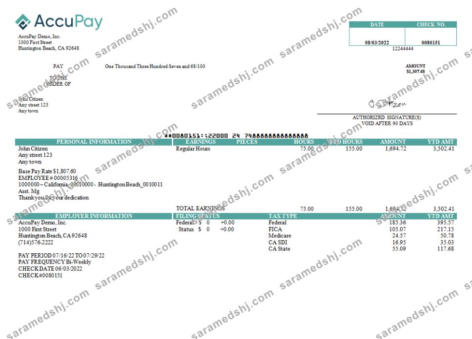 USA Accupay Demo Inc. payroll company